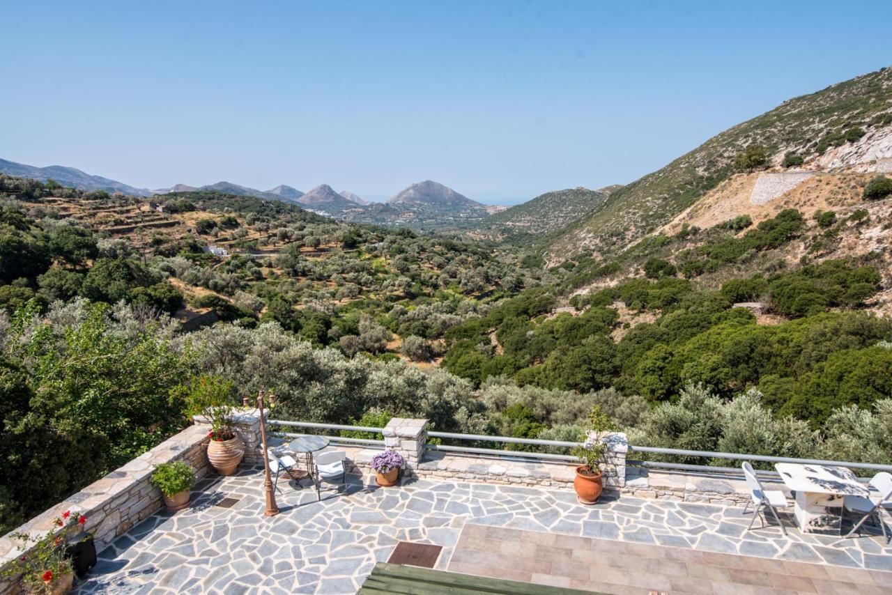 Elaiolithos - Luxury Villa Suites - Adults Only Khalkion Ngoại thất bức ảnh