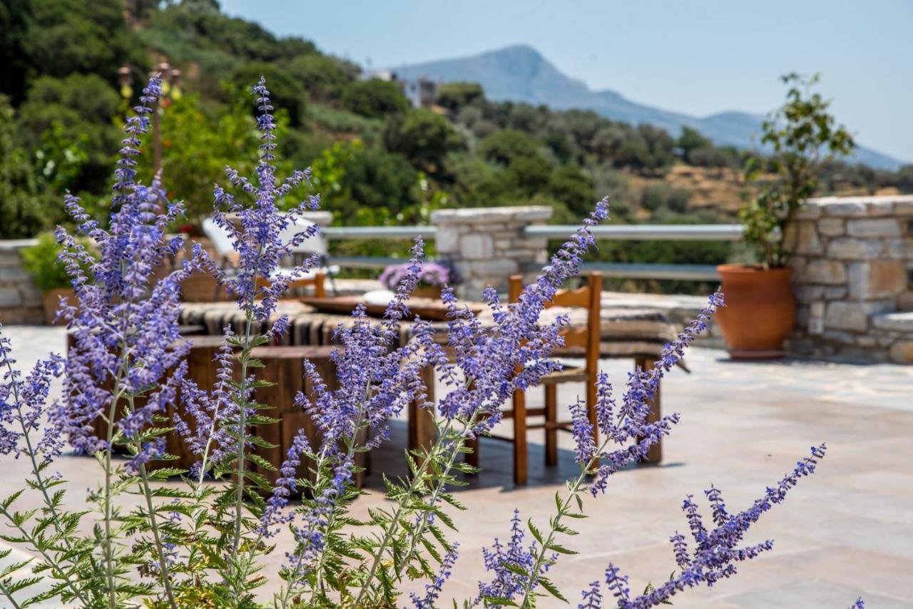Elaiolithos - Luxury Villa Suites - Adults Only Khalkion Ngoại thất bức ảnh